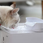 white cat water fountain