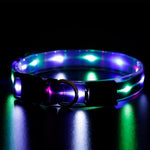 NPET LED Dog Collar Rechargeable Adjustable Collar