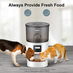 NPET 0.79 Gallon Automatic Cat Feeder Food Dispenser