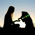 NPET LED Dog Collar Rechargeable Adjustable Collar